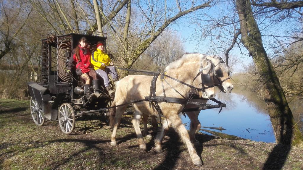 Zoopark Zelcin Villa Mělník Exterior foto